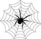 spider web