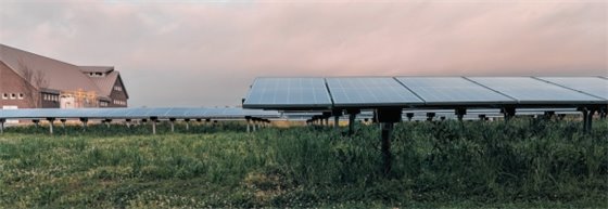 Pink grey clouds cover the horizon on a calm early evening at Cedar Creek Water Reclamation Facility. The picture shows a field of blue solar panels on a rich dark green field with part of the facility building in view.