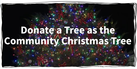 Donate a tree to serve as the 2025 Athens-Clarke County Community Christmas tree