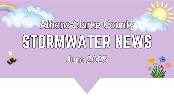 June 2025 Newsletter Header