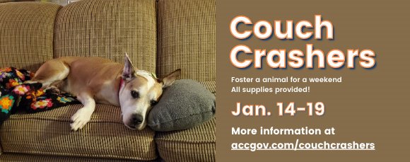 Couch Crashers, January 14-19