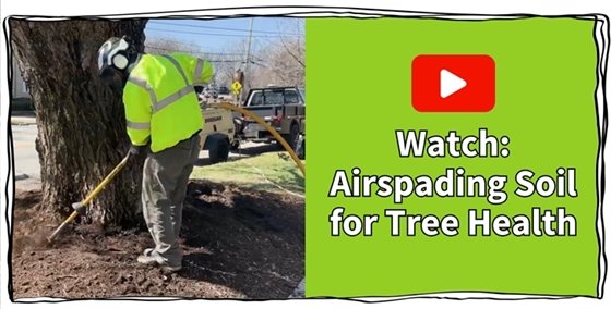 A man airspading soil next to text and a red "play" button