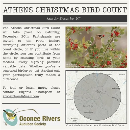 Athens Christmas Bird Count