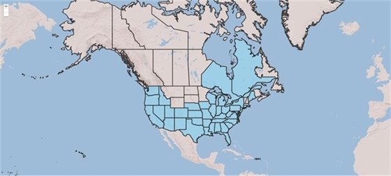 USDA PLANTS Database: Tree-of-heaven distribution in North America