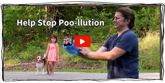 Person putting a small present into a bag as if it were animal waste