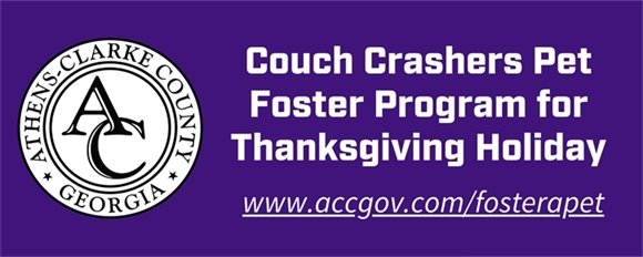 Purple header image for Animal Services Newsletter