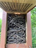 Bird box full of twigs