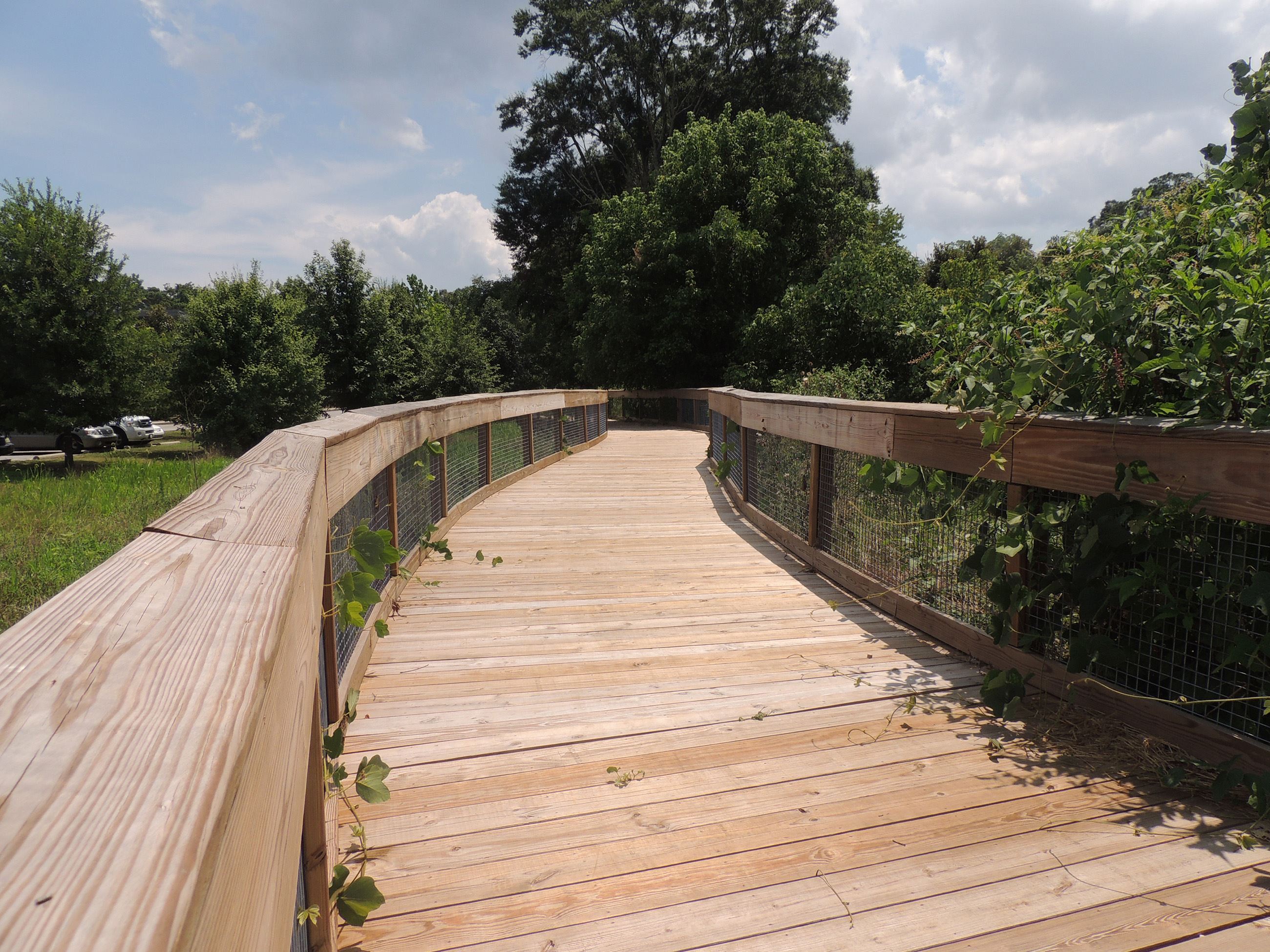 A wooden boardwalk section of the Pulaski Heights Trail.