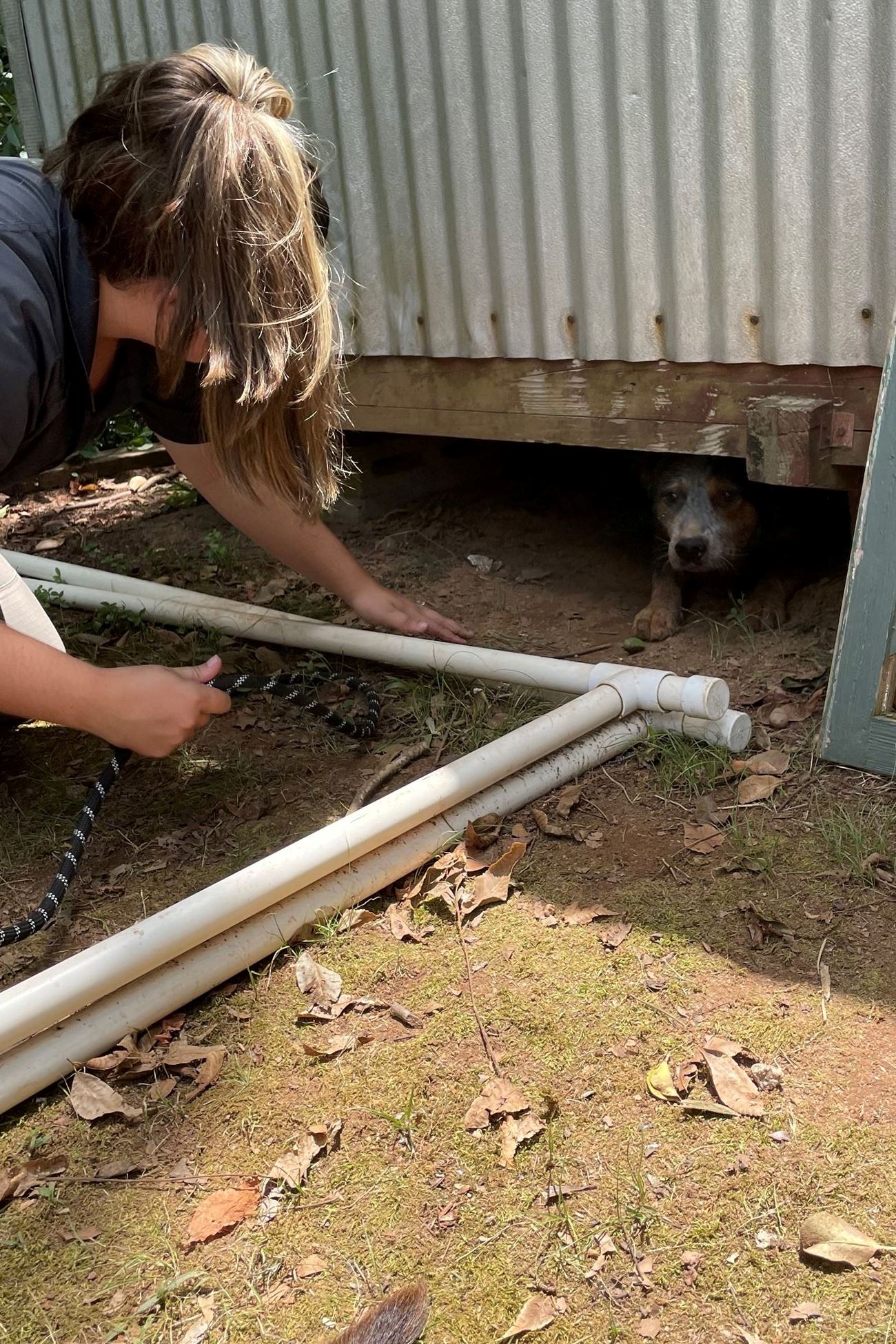 Brandee Catching Dog