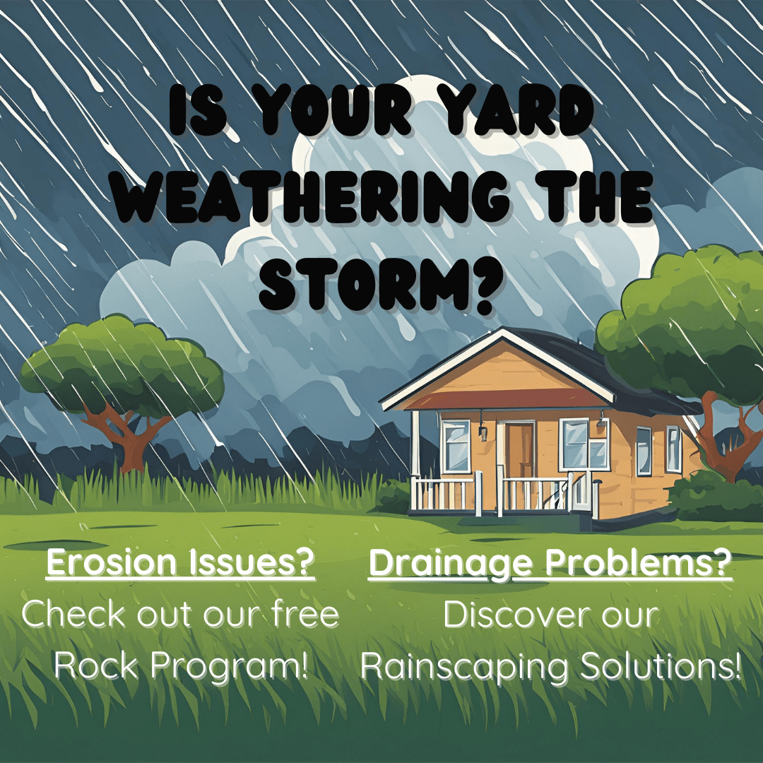 Stormwater Home Page Graphic (2)