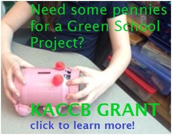 Green school grant button