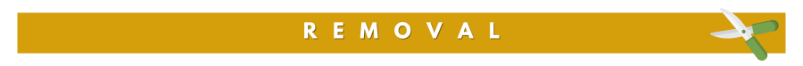 Removal