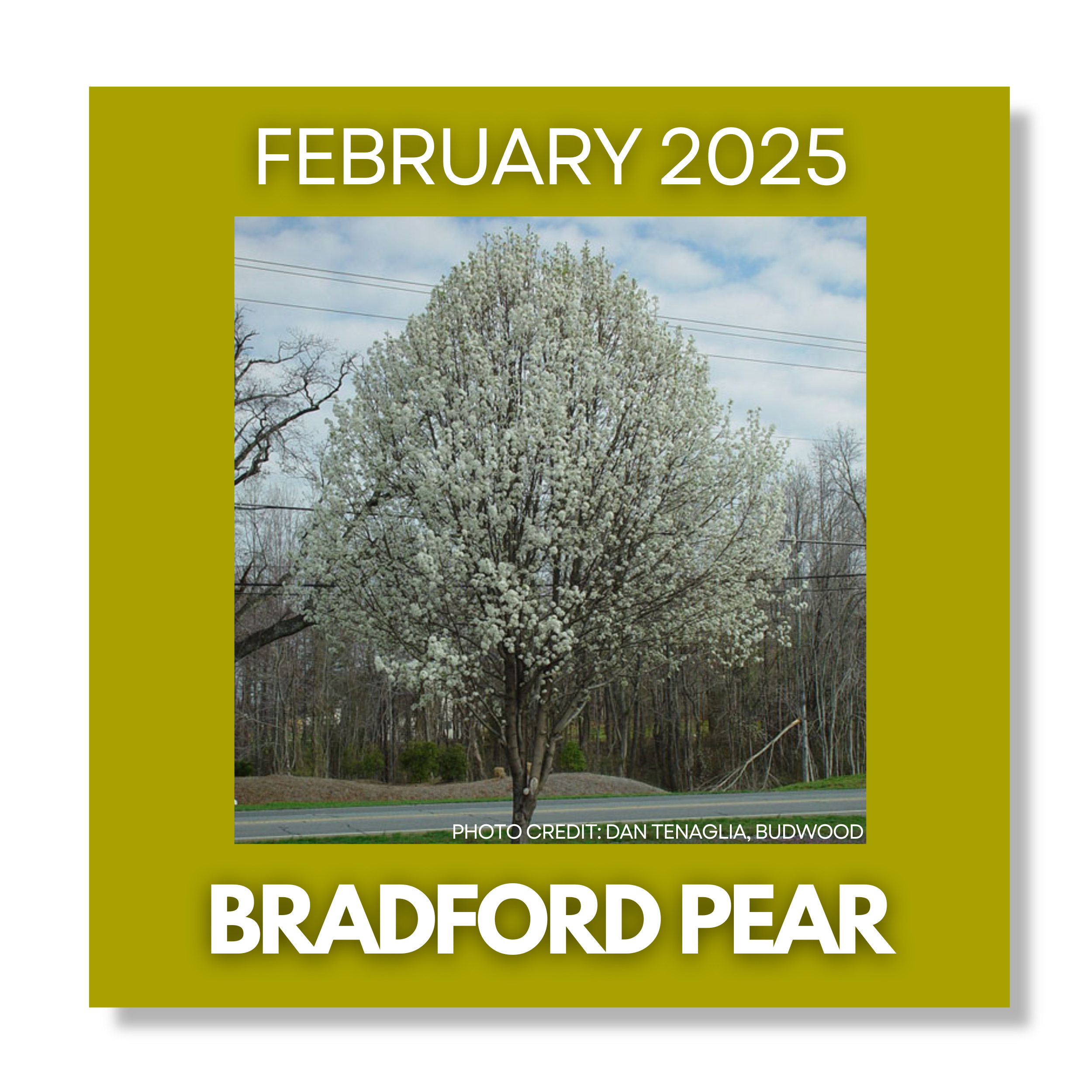 Renewable Energy Projects WEBSITE (34)