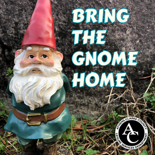 Bring the Gnome Home 3x3