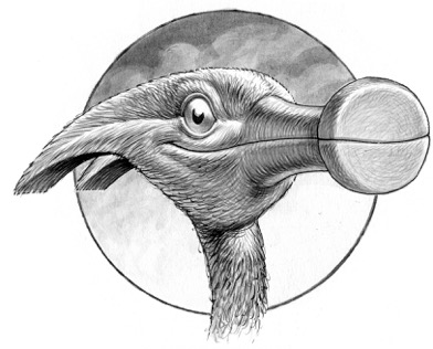 Birdhouse show logo1