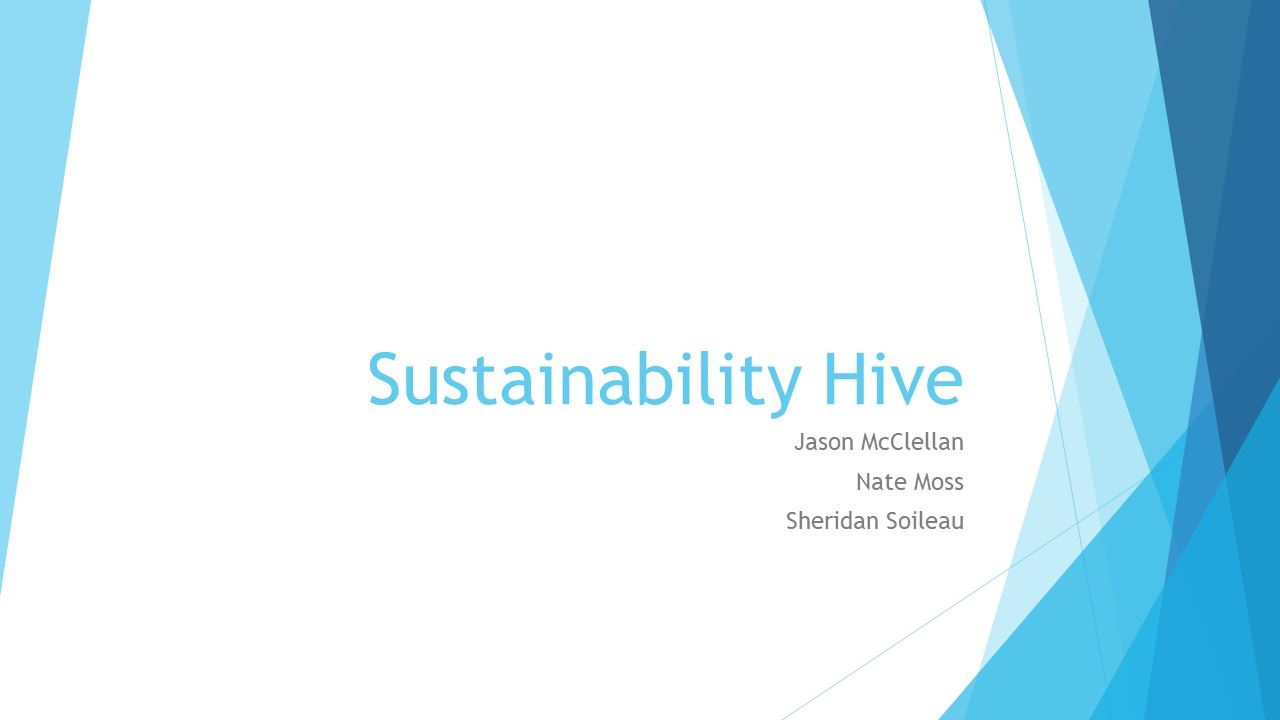 Sustainability Hive Pres 121018