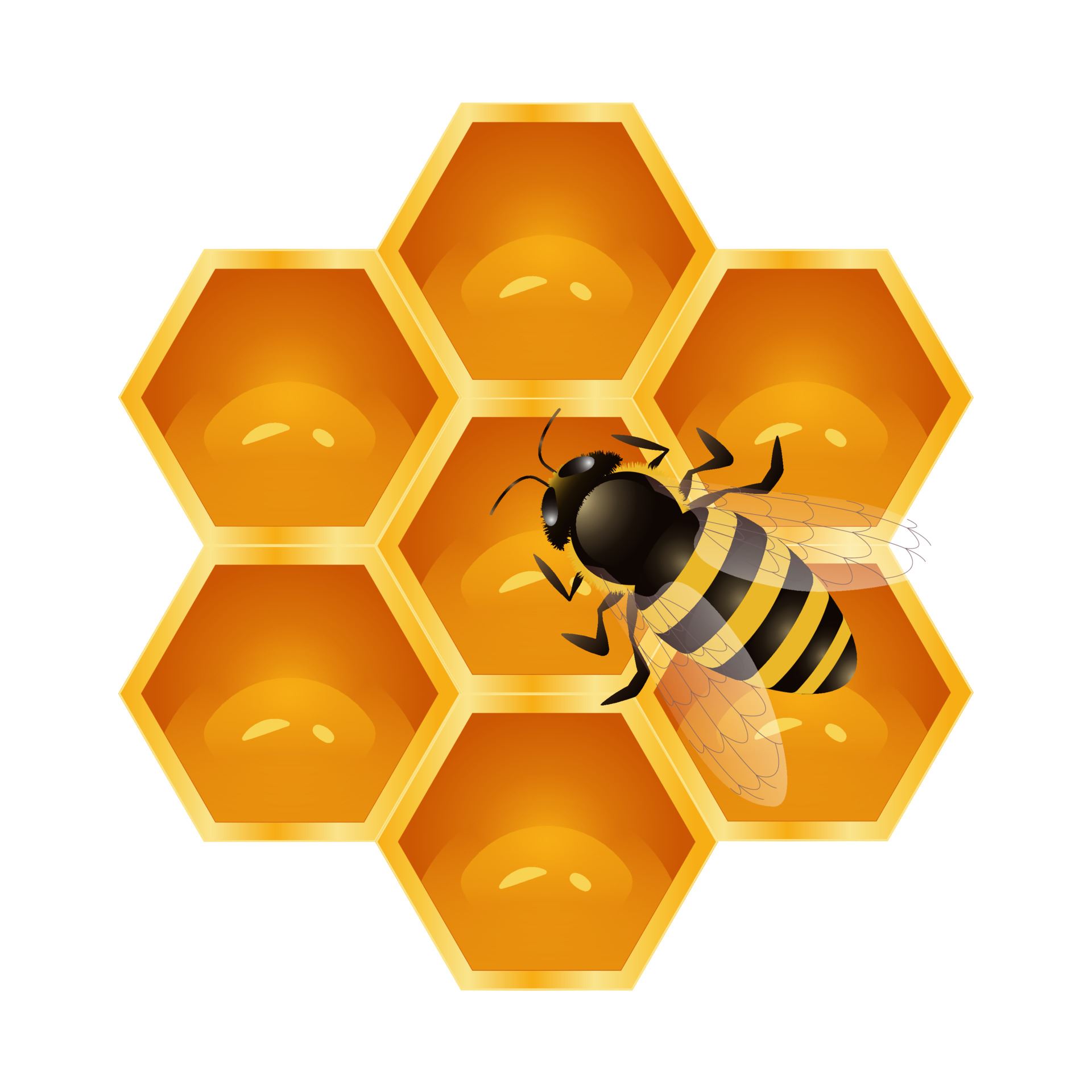 vecteezy_bee-and-honeycomb-in-the-shape-of-a-hexagon_5492166