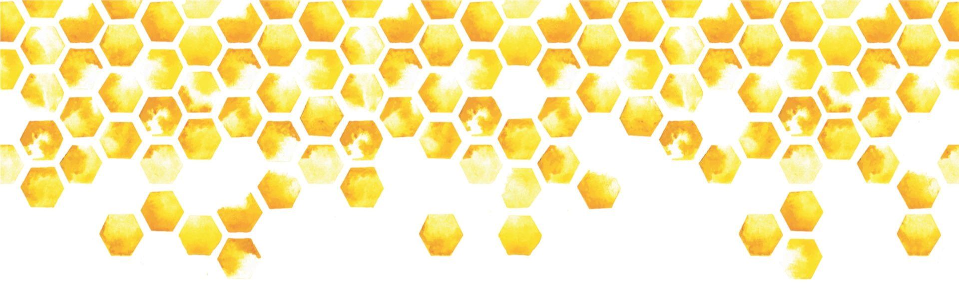 honeycomb border