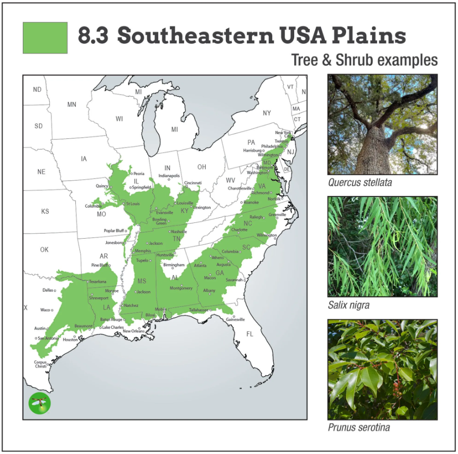 8.3 Southeastern USA Plains