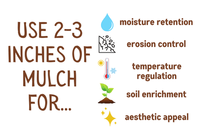 An infographic describing the benefits of using mulch