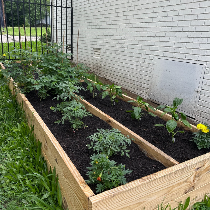 Divas She Grows Garden