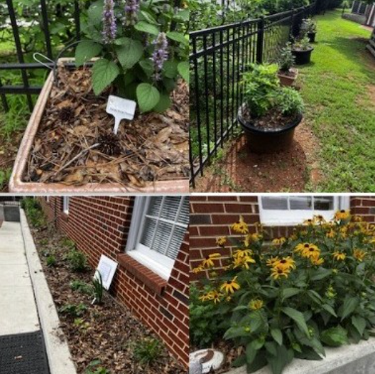 OSUMC Pollinator Prayer Garden 25