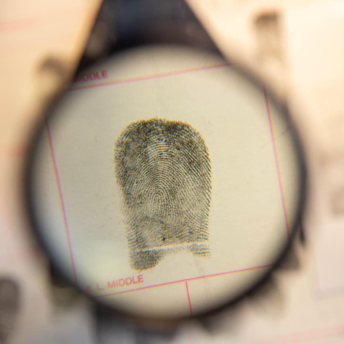 Accordion_Forensics_APD_1934 copy