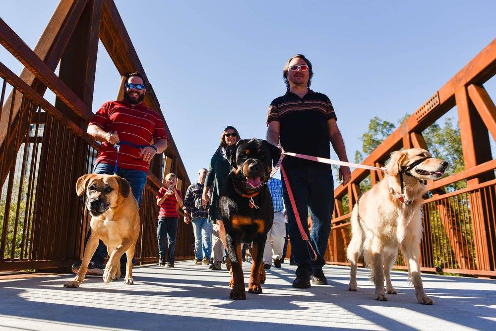 Photo of dogs and their humans crossing the Firefly Trail bridge over the North Oconee River Park du